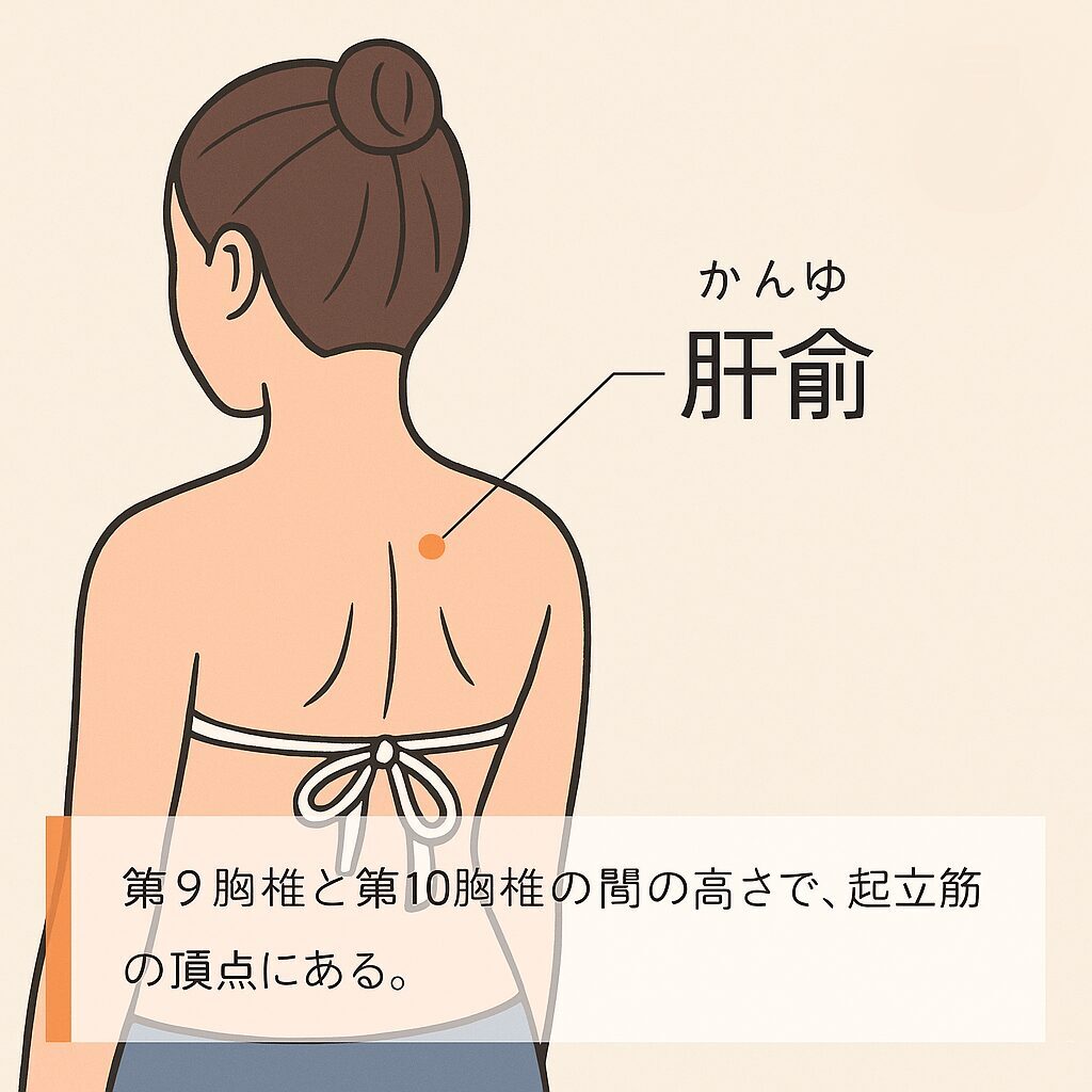 ツボ