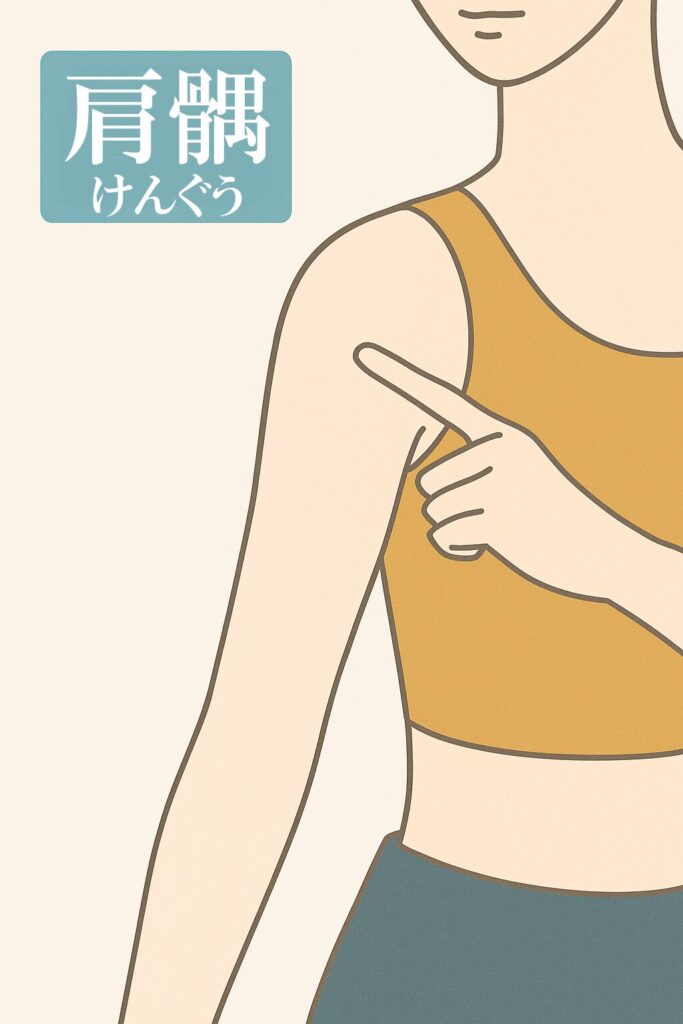 肩髃（けんぐう）